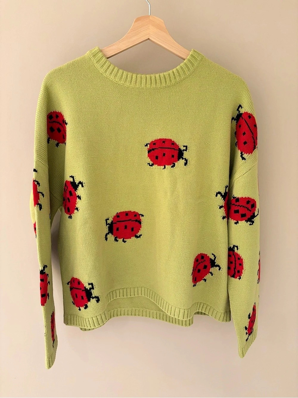 Simons Ladybug Crewneck Sweater in Green & Red Like New